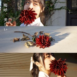 嗚呼、美しい