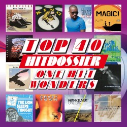 TOP 40 HITDOSSIER - One Hit Wonders (Eendagsvliegen Top 100)