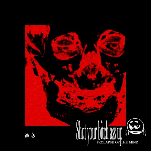 Shut Your Bitch Ass Up: PROLAPSE OF THE MIND