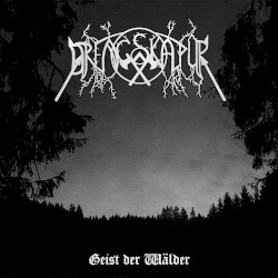 Geist der Wälder / Begrabene Tugenden