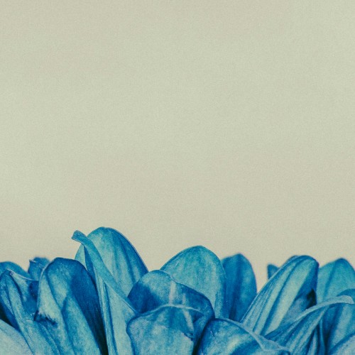 Flowering Heart