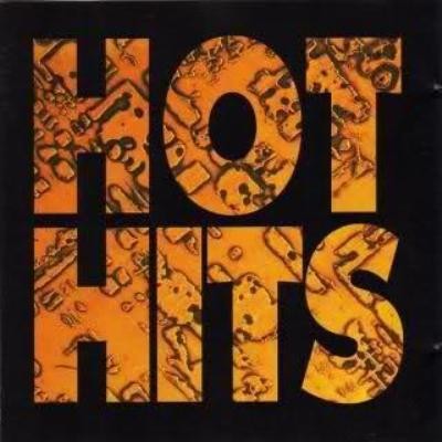 Hot Hits Pop Volume 41