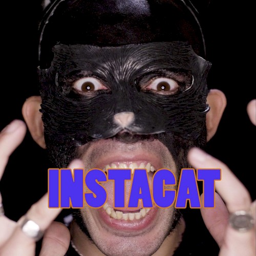 Instacat