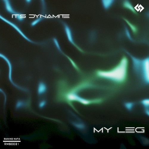 My Leg