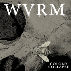 Colony Collapse