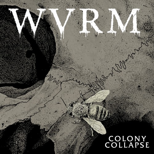 Colony Collapse
