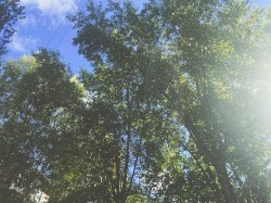 summer days