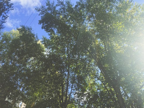 summer days