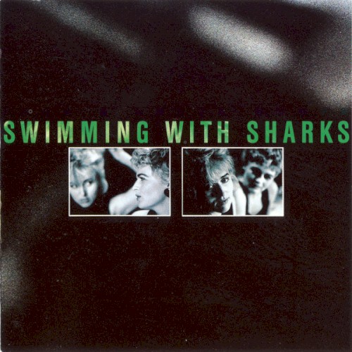 Swimming With Sharks