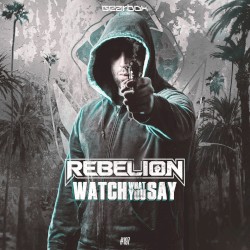 Watch What You Say