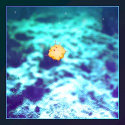 Summer in Mars