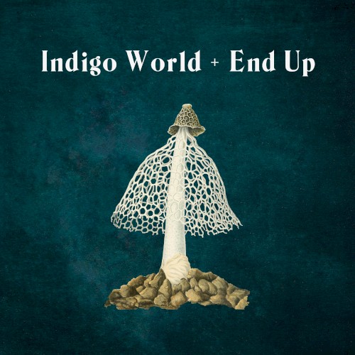 Indigo World / End Up