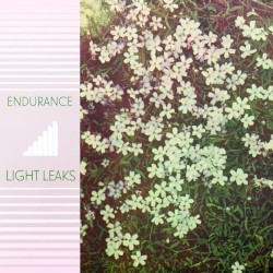Light Leaks