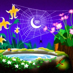 dreamweaver