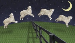 so long, goodnight