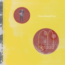 I Never Wanted You