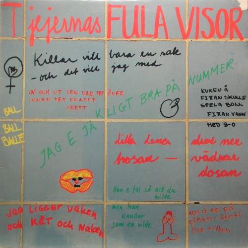 Tjejernas fula visor