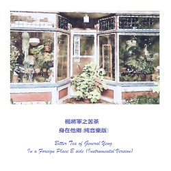 In a Foreign Place (instrumental version)