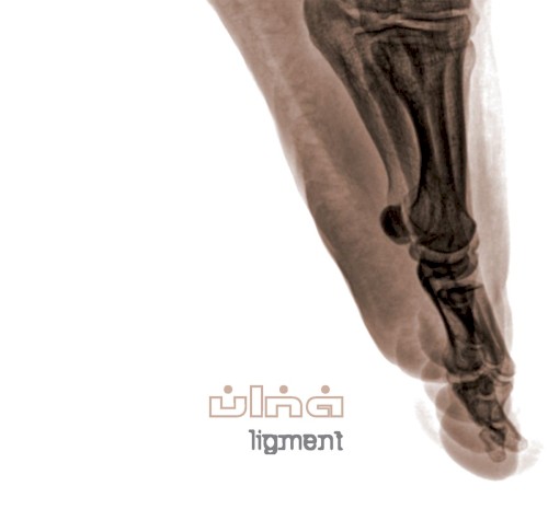 Ligment