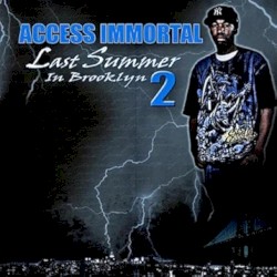 Last Summer In Brooklyn 2