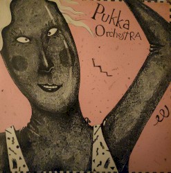 Pukka Orchestra