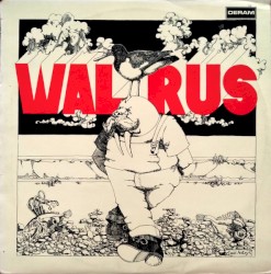 Walrus