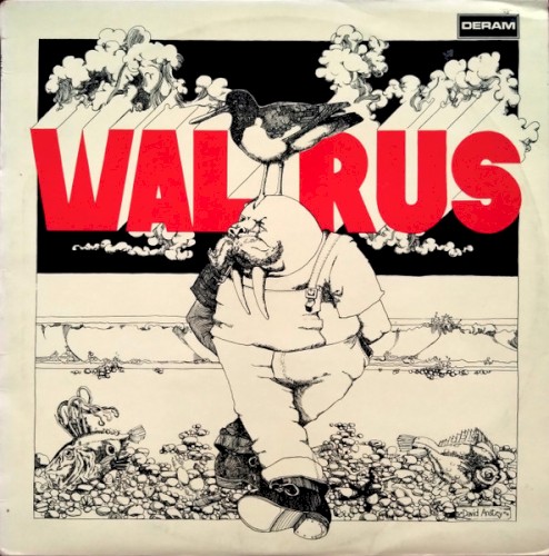 Walrus