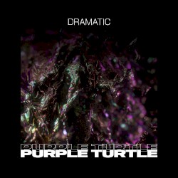 Purple Turtle