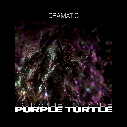 Purple Turtle