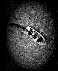 Under Plastic Island