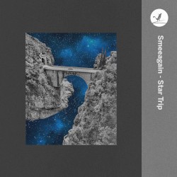 Star Trip
