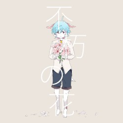 不朽の花