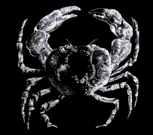 Crabe