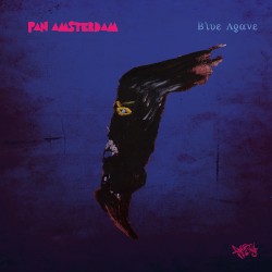 Blue Agave