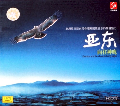 向往神鹰
