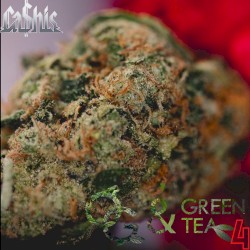 OG & Green Tea 4