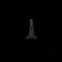 UNTITLED (Rise)