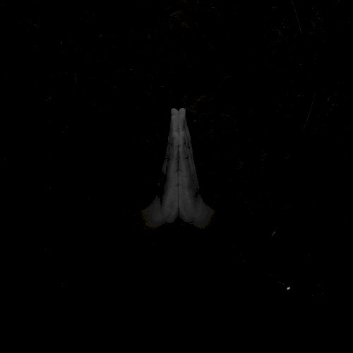 UNTITLED (Rise)