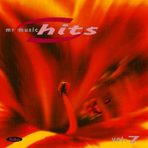 Mr Music Hits 7. 1999
