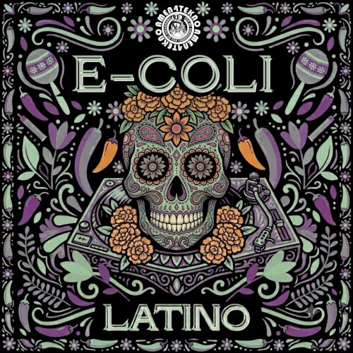 Latino