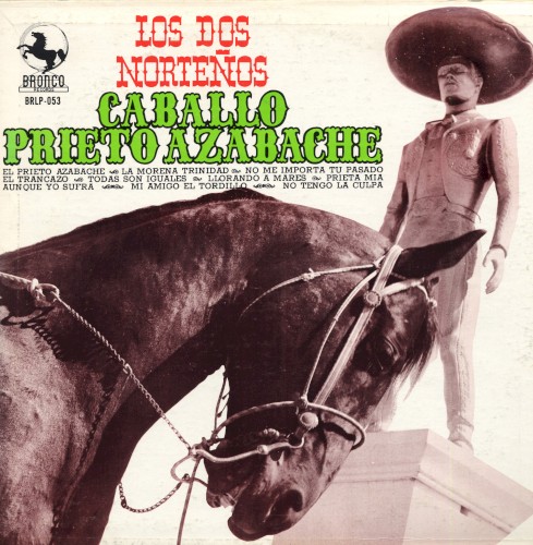 Caballo prieto azabache