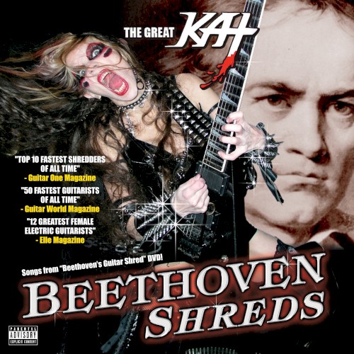 Beethoven Shreds