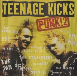 Teenage Kicks: Punk! 2