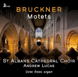 Motets