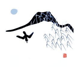 a Spirit Library
