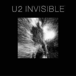 Invisible