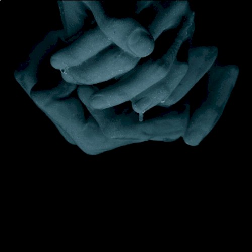 Claws Overhead