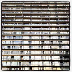 Imobilianoïds