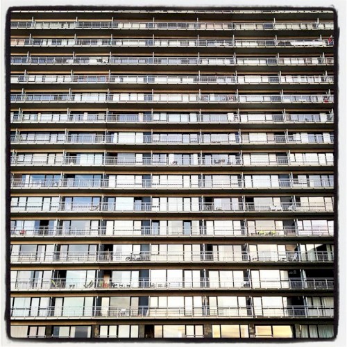 Imobilianoïds