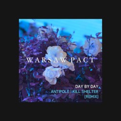 Day by Day (Antipole/Kill Shelter remix)